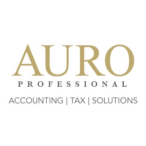 Auro Professional business logo