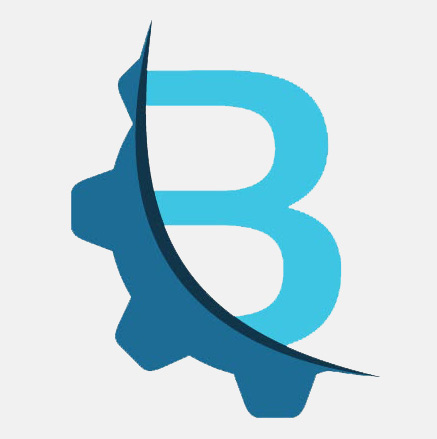 Bosha Placements business logo